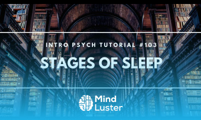 Stages of Sleep Intro Psych Tutorial 103