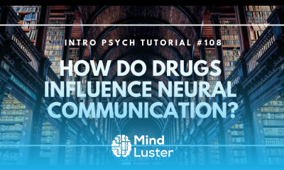 How Do Drugs Influence Neural Communication Intro Psych Tutorial 108