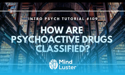 How Are Psychoactive Drugs Classified Intro Psych Tutorial 109