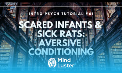 Scared Infants and Sick Rats Aversive Conditioning Intro Psych Tutorial 61