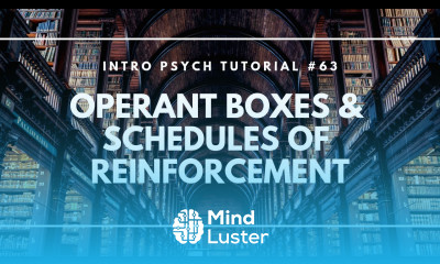 Operant Boxes Schedules of Reinforcement Intro Psych Tutorial 63