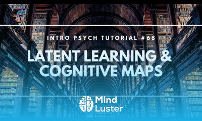 Latent Learning Cognitive Maps Intro Psych Tutorial 68