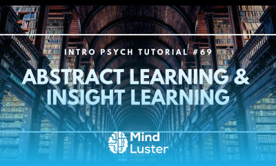 Abstract Learning Insight Learning Intro Psych Tutorial 69