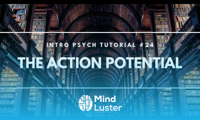 The Action Potential Intro Psych Tutorial 24