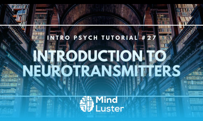 Introduction to Neurotransmitters Intro Psych Tutorial 27