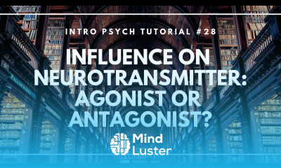Influence on Neurotransmitter Agonist or Antagonist Intro Psych Tutorial 28