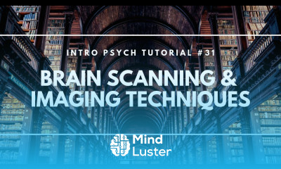 Brain Scanning and Imaging Techniques Intro Psych Tutorial 31