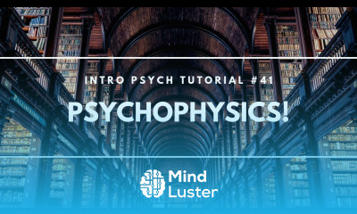 Psychophysics Intro Psych Tutorial 41