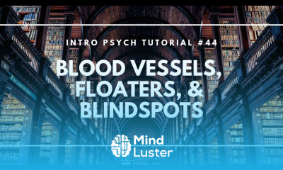 Blood Vessels Floaters and Blind Spots Intro Psych Tutorial 44