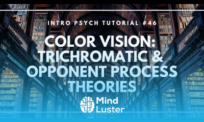 Color Vision Trichromatic and Opponent Process Theories Intro Psych Tutorial 46