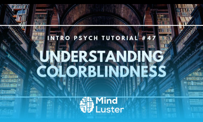 Understanding Colorblindness Intro Psych Tutorial 47