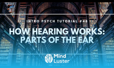 How Hearing Works Parts of the Ear Intro Psych Tutorial 48