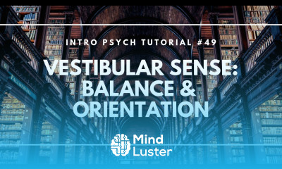 Vestibular Sense Balance Orientation Intro Psych Tutorial 49