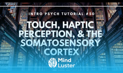 Touch Haptic Perception the Somatosensory Cortex Intro Psych Tutorial 50