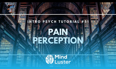Pain Perception Intro Psych Tutorial 51