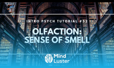 Olfaction Sense of Smell Intro Psych Tutorial 52