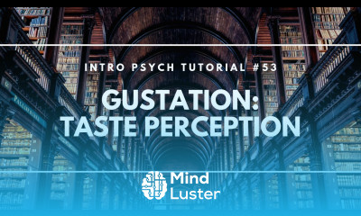 Gustation Taste Perception Intro Psych Tutorial 53