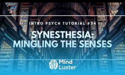 Synesthesia Mingling the Senses Intro Psych Tutorial 54