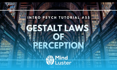 Gestalt Laws of Perception Intro Psych Tutorial 55