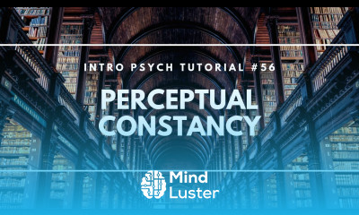 Perceptual Constancy Intro Psych Tutorial 56