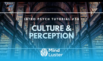 Culture and Perception Intro Psych Tutorial 58