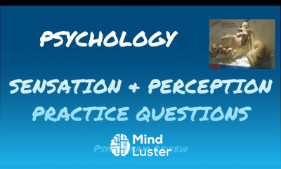 Psychology Review Questions Sensation Perception