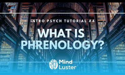 What is Phrenology Intro Psych Tutorial 4
