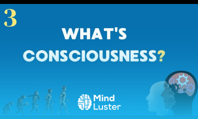 What s Consciousness Is it a sponge or water 3