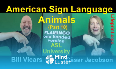 Animal Signs 10 American Sign Language ASL Bill Vicars with Cäsar Jacobson Lifeprint com
