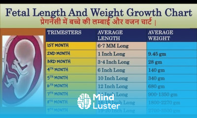 Fetal Length And Weight Growth Chart