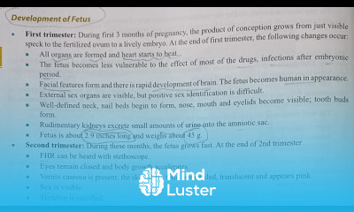 Development Of Fetus First Trimester Second Trimester Third Trimester OBG