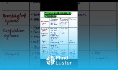 Physiological Changes In Pregnancy