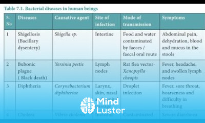 Bacterial Disease In Human Beings