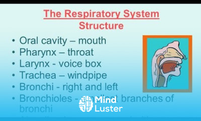 Commen Disorders Of Respiratory System
