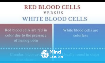 Red Blood Cells Vs White Blood Cells