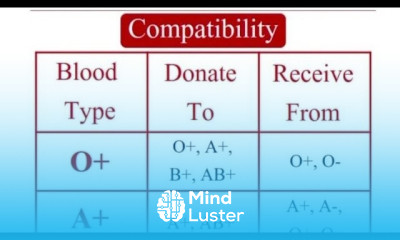 Blood Group Compatibility