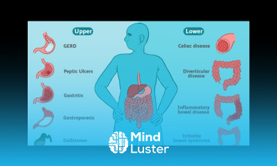 Gastrointestinal tract  Diseases