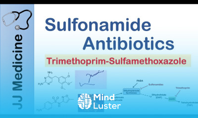 Sulfonamide Antibiotics Bacterial Targets Mechanism of Action Adverse Effects