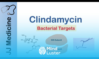 Clindamycin Bacterial Targets Mechanism of Action Adverse Effects