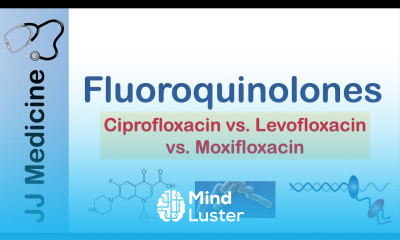 Fluoroquinolones 2nd vs 3rd vs 4th Generation Targets Mechanism of Action