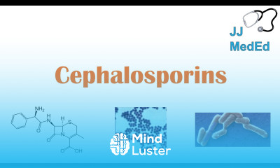 Cephalosporin Antibiotics 1st to 5th Generation Mechanism Side Effects and Bacterial Targets