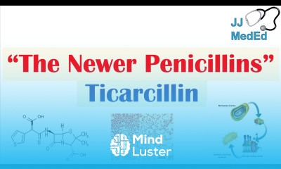 Ticarcillin and 3rd Generation Penicillins Targets Mechanism of Action Adverse Effects