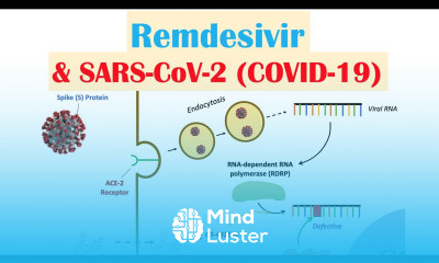 Remdesivir SARS CoV 2 COVID 19 Mechanism of Action Adverse Effects Anti Viral Properties
