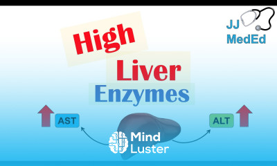 High Liver Enzymes Aspartate vs Alanine Aminotransferase AST vs ALT Causes