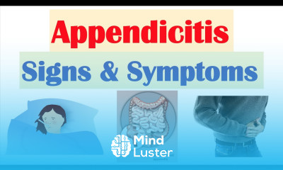 Appendicitis Signs Symptoms Why They Occur