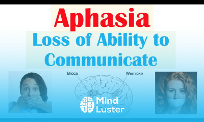Aphasia Types Broca s Wernicke s Global Causes Signs Symptoms Diagnosis Treatment