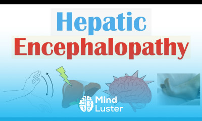 Hepatic Encephalopathy Pathophysiology Triggers Signs Symptoms Diagnosis Treatment