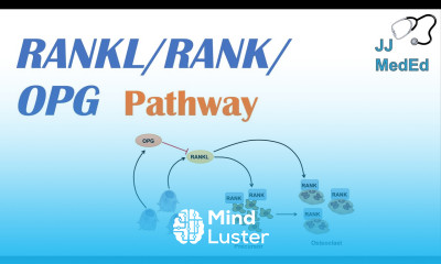 Introduction to RANKL RANK OPG Signaling Pathway