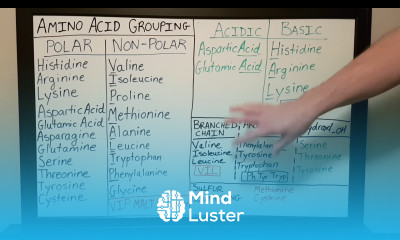 Amino Acid Grouping Basics for Beginners Biochemistry Lesson