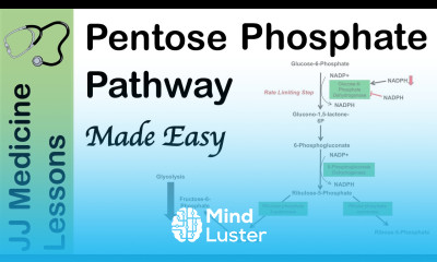 Pentose Phosphate Pathway Regulation Purpose and Importance in Human Health